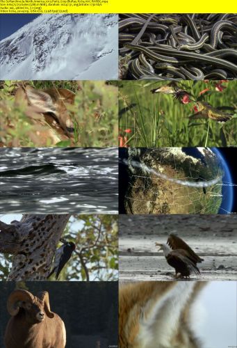 North America 2013 Part3 720p BluRay H264 AAC-RARBG