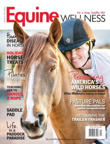 –Equine Wellness - December 2016 - January 2017