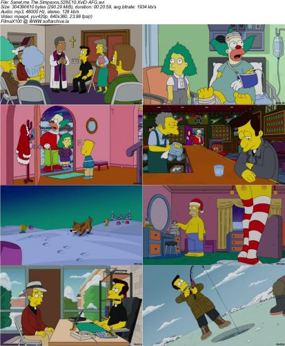 The Simpsons S28E10 XviD-AFG