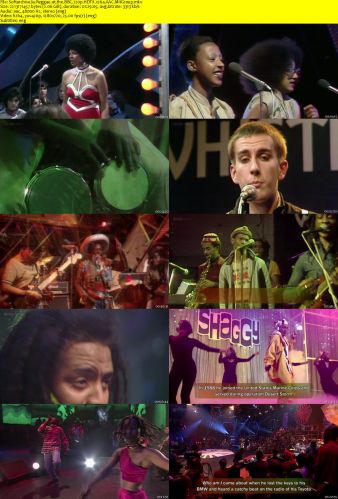 Reggae at the BBC 2011 720p HDTV x264 AAC-MVGroup