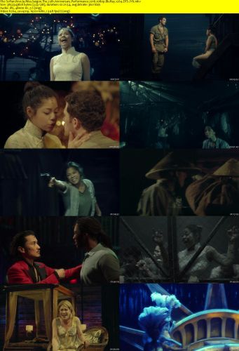 Miss Saigon The 25th Anniversary Performance 2016 1080p BluRay x264 DTS-JYK
