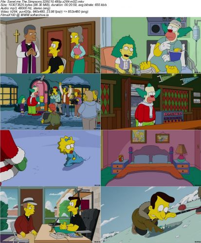The Simpsons S28E10 480p x264-mSD