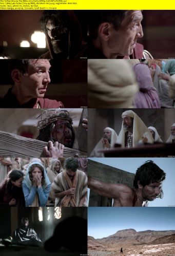 The Bible 2013 Part9 BRRip XviD MP3-RARBG