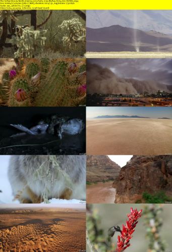 North America 2013 Part5 720p BluRay H264 AAC-RARBG