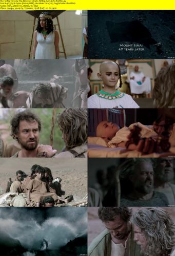 The Bible 2013 Part2 BRRip XviD MP3-RARBG