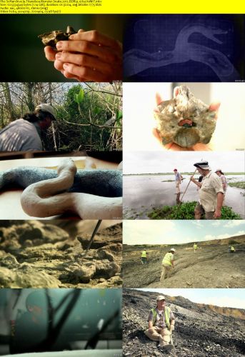 Titanoboa Monster Snake 2012 BDRip x264-VoMiT
