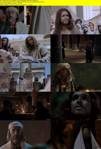 The Bible 2013 Part8 BRRip XviD MP3-RARBG
