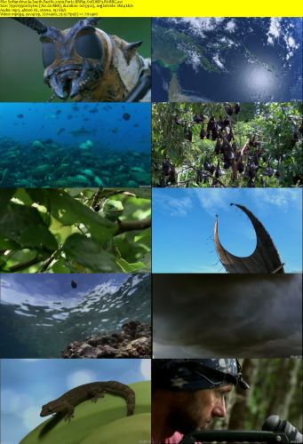 South Pacific 2009 Part2 BRRip XviD MP3-RARBG