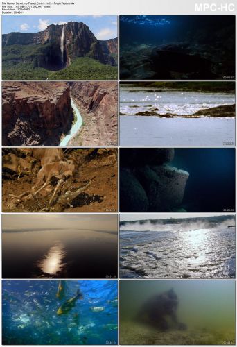 Planet Earth S01 1080p HEVC PLEX jlw
