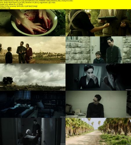 A Tale of Love and Darkness 2015 HEBREW 1080p WEB-DL DD5.1 H264-FGT