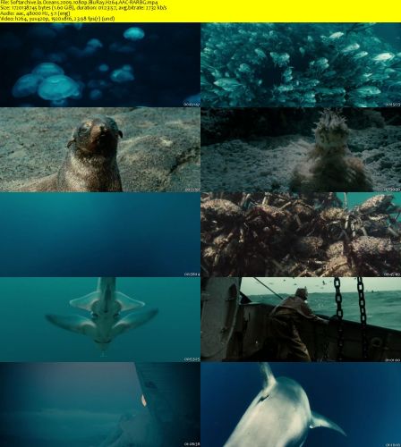 Oceans 2009 1080p BluRay H264 AAC-RARBG