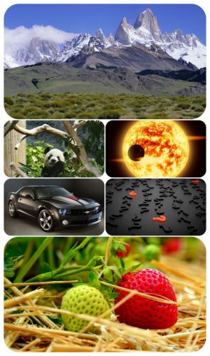 Beautiful Mixed Wallpapers Pack 408