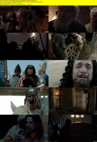 The Bible 2013 Part5 BRRip XviD MP3-RARBG