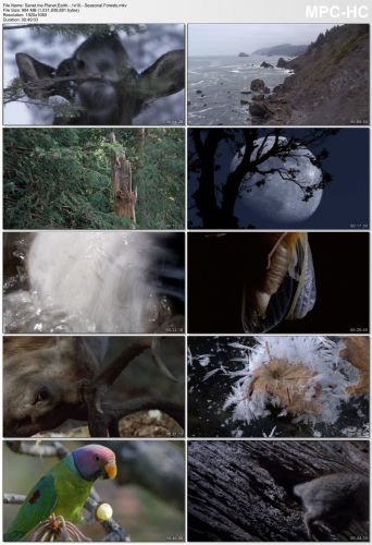 Planet Earth S01 1080p HEVC PLEX jlw