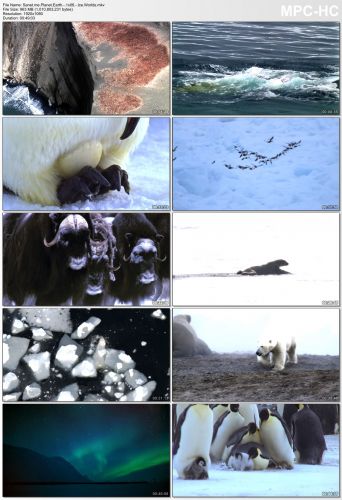 Planet Earth S01 1080p HEVC PLEX jlw