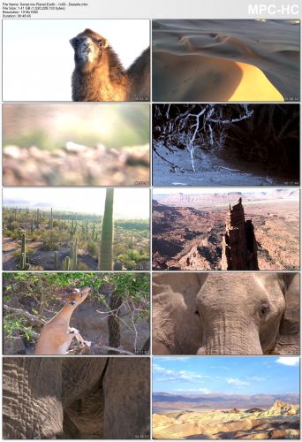 Planet Earth S01 1080p HEVC PLEX jlw