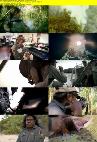Kakadu 2013 Part 1 BRRip XviD MP3-RARBG