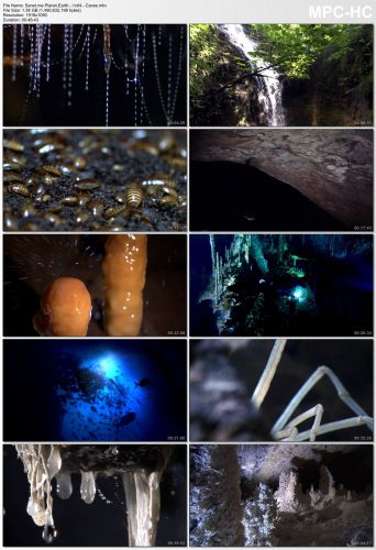 Planet Earth S01 1080p HEVC PLEX jlw