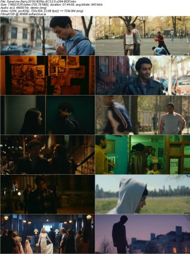 Barry 2016 HDRip AC3 2 0 x264-BDP