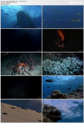 Planet Earth S01 1080p HEVC PLEX jlw