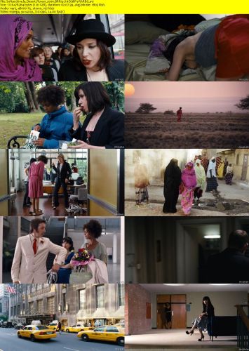 Desert Flower 2009 BRRip XviD MP3-RARBG