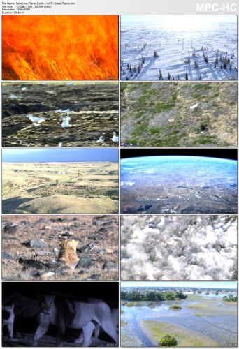 Planet Earth S01 1080p HEVC PLEX jlw