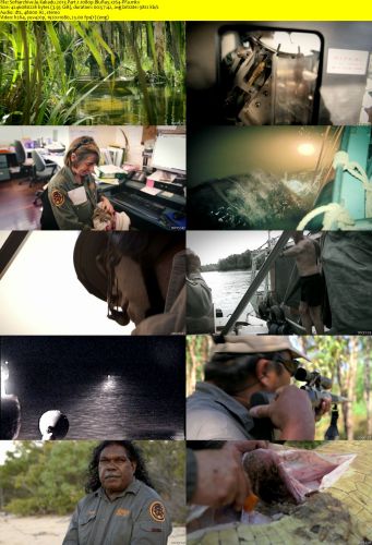 Kakadu 2013 Part 1 1080p BluRay x264-PFa