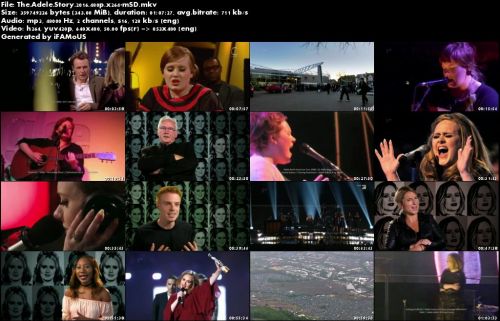 The Adele Story 2016 480p x264-mSD