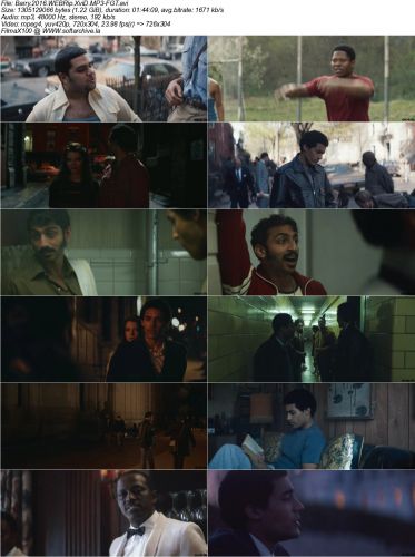 Barry 2016 WEBRip XviD MP3-FGT