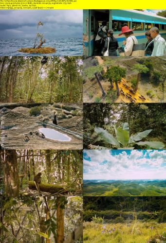 Island of Lemurs Madagascar 2014 BRRip XviD MP3-RARBG