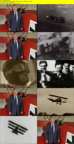 World War One  Centenary Collection  The Red Baron - German Aircraft - SecInc