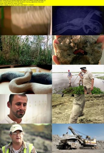 Titanoboa Monster Snake 2012 BRRip XviD MP3-RARBG