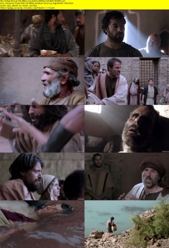 The Bible 2013 Part10 BRRip XviD MP3-RARBG