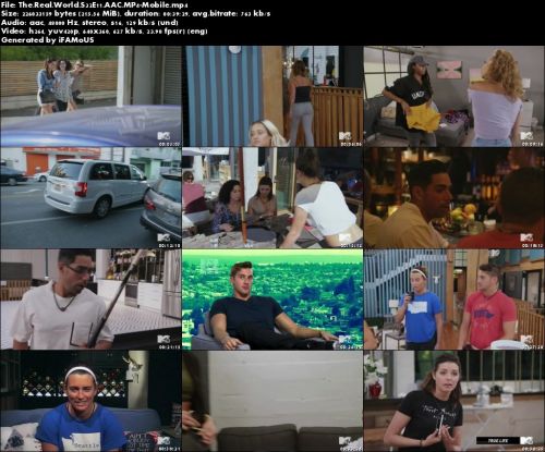 The Real World S32E11 AAC MP4-Mobile