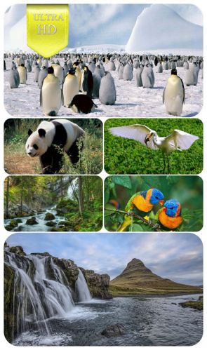 Ultra HD 3840x2160 Wallpaper Pack 85