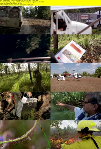 Kakadu 2013 Part 2 BRRip XviD MP3-RARBG