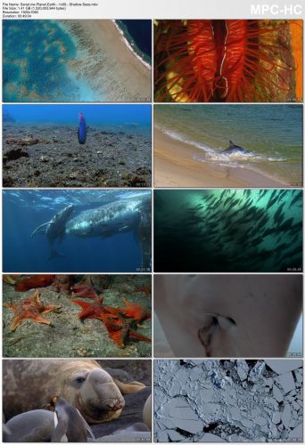 Planet Earth S01 1080p HEVC PLEX jlw