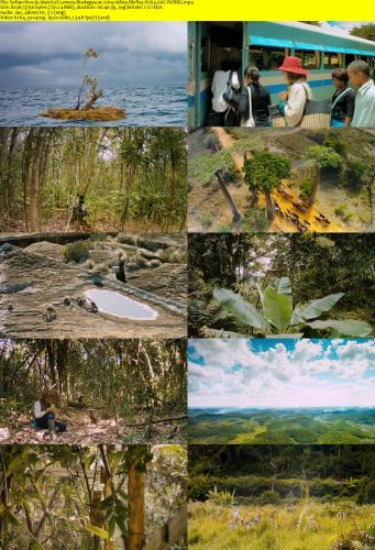Island of Lemurs Madagascar 2014 1080p BluRay H264 AAC-RARBG