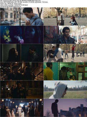 Barry 2016 720p WEBRip 850MB MkvCage