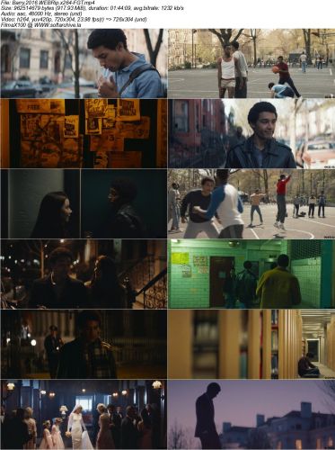 Barry 2016 WEBRip x264-FGT