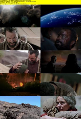 The Bible 2013 Part1 BRRip XviD MP3-RARBG