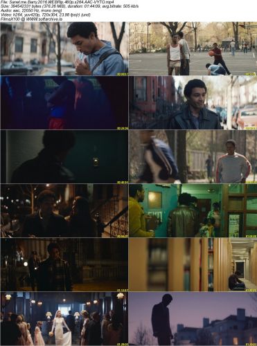 Barry 2016 WEBRip 480p x264 AAC-VYTO