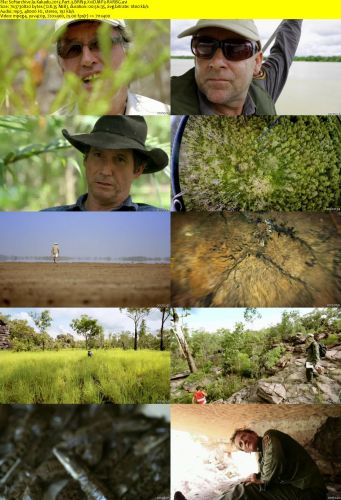 Kakadu 2013 Part 3 BRRip XviD MP3-RARBG
