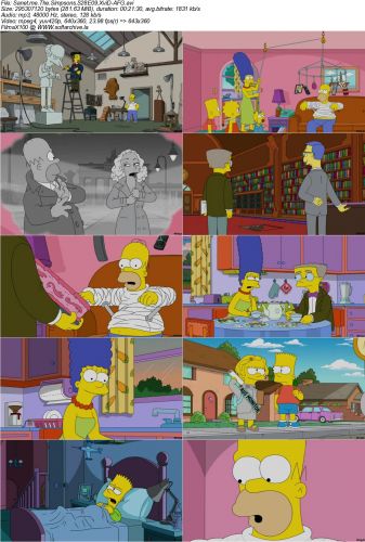 The Simpsons S28E09 XviD-AFG