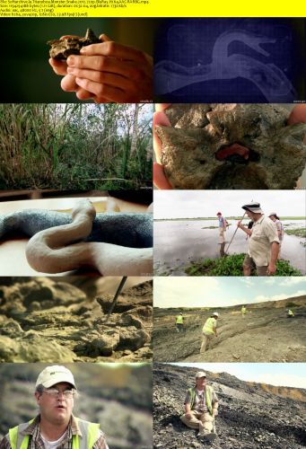 Titanoboa Monster Snake 2012 720p BluRay H264 AAC-RARBG