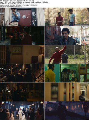 Barry 2016 WEBRip XviD AC3-FGT