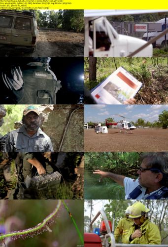 Kakadu 2013 Part 2 1080p BluRay x264-PFa