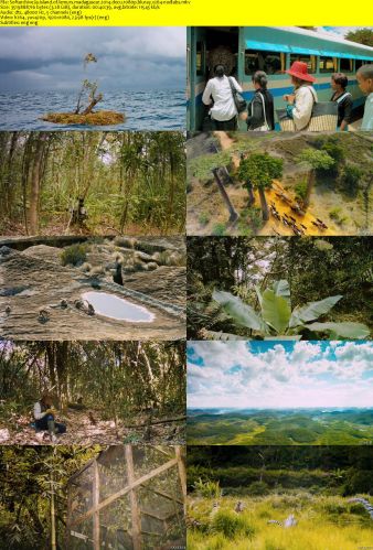 Island of Lemurs Madagascar 2014 1080p BluRay x264-NODLABS