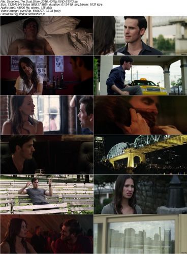 The Dust Storm 2016 HDRip XViD-ETRG