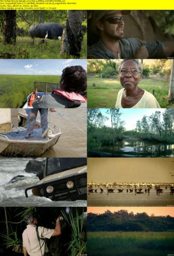 Kakadu 2013 Part 4 BRRip XviD MP3-RARBG